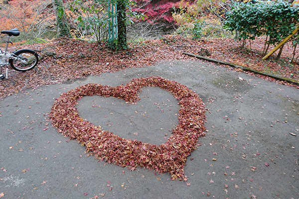 グラデーションで紅葉を楽しむ