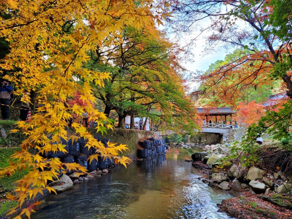 仏通寺の紅葉